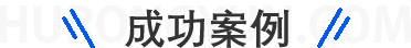 成功案例
